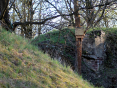 Fledermauskasten_6