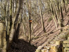 Fledermauskasten_7