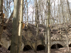 Fledermauskasten_8
