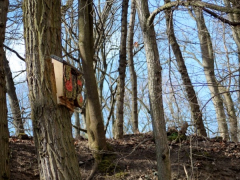 Fledermauskasten_10