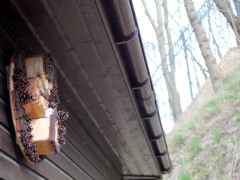 Insektenhotel_1