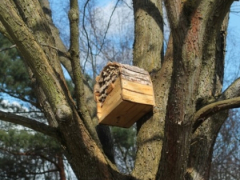 Insektenhotel_2