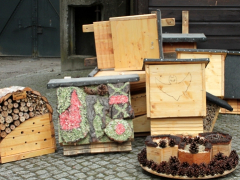 Fledermauskasten-und-Insektenhotel