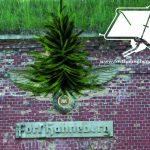 20191222_Hoheitszeichen+Weihnacht_verkl