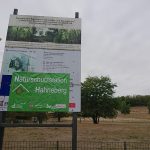 Bauschild Heerstrasse